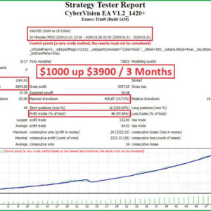 CyberVision-EA-MT4-Backtest