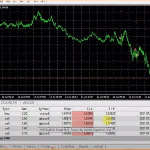 abella scalping robot live results