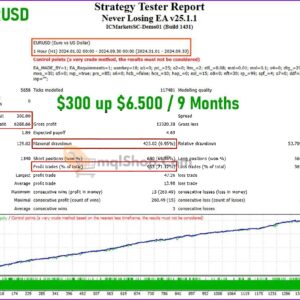 Never-Losing-EA-Backtest