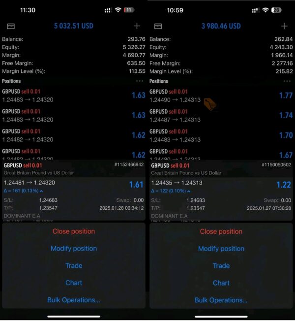 Dominant-EA-MT5-live-results.jpg